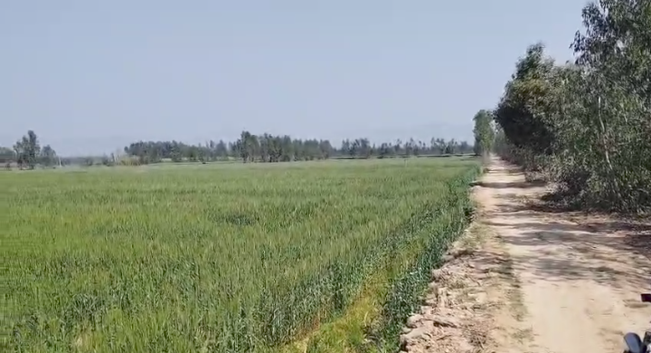 11 Acre Land in Kalagarh Uttar Pradesh