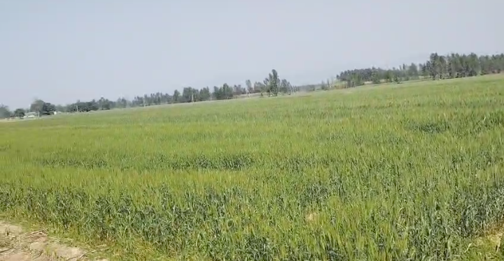 11 Acre Land in Kalagarh Uttar Pradesh