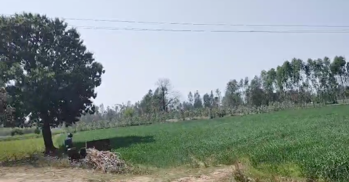 11 Acre Land in Kalagarh Uttar Pradesh