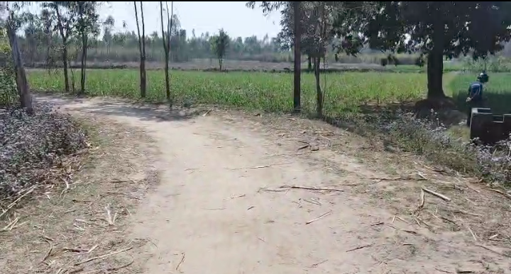 kalagarh agriculture land for sale- 11 acers
