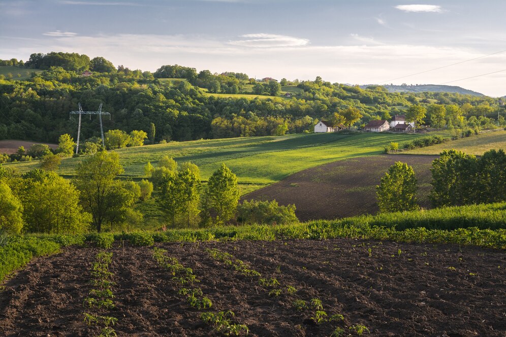 Agricultural land in Uttarakhand