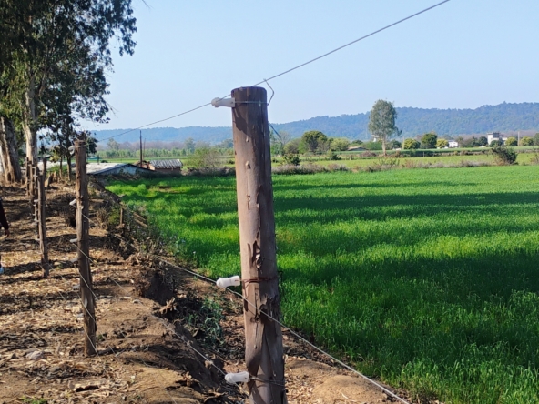 17 ACRE JUNGLE TOUCH LAND IN CORBETT