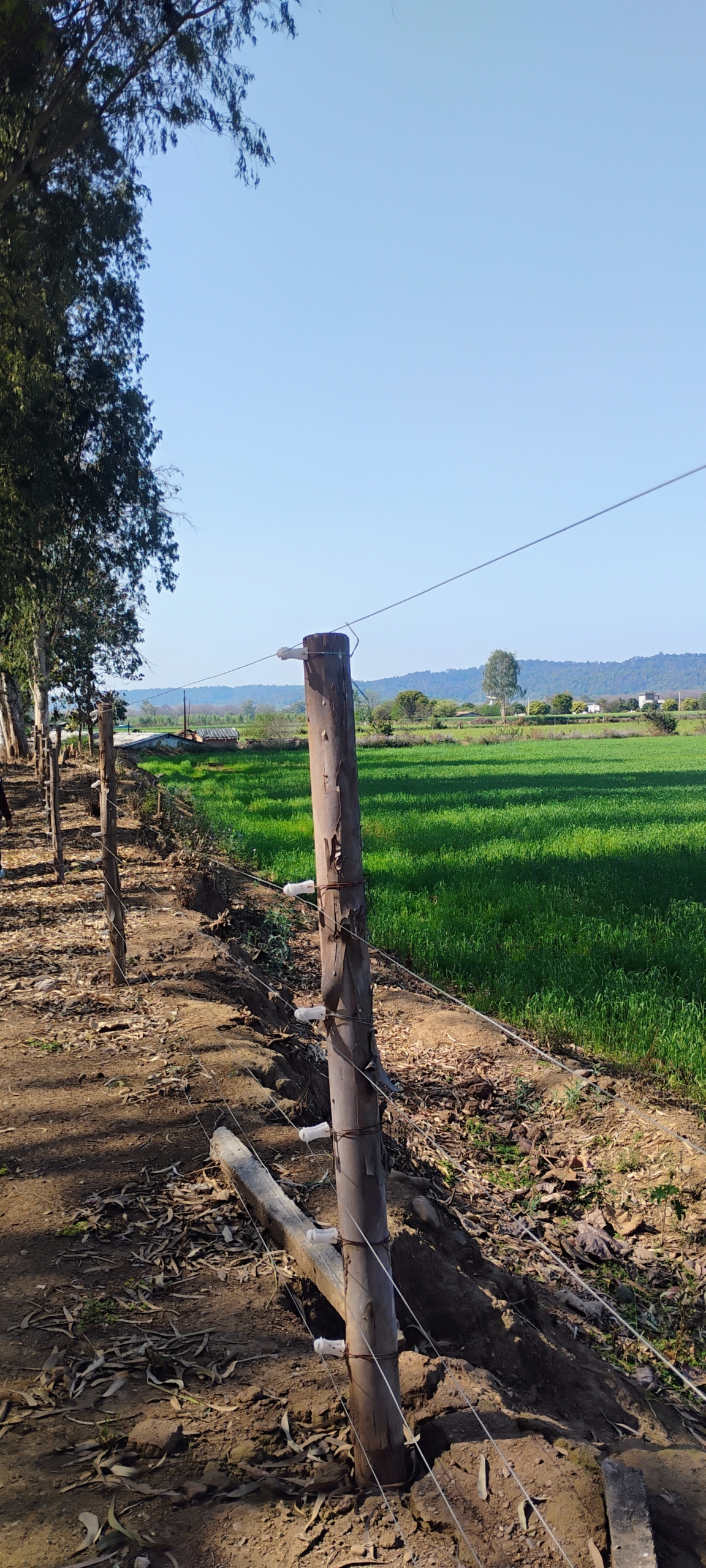 17 ACRE JUNGLE TOUCH LAND IN CORBETT