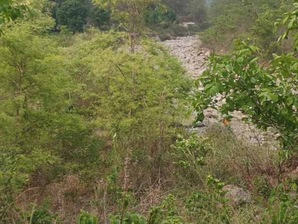 RIVER & JUNGLE TOUCH RESORT.....-9 nali