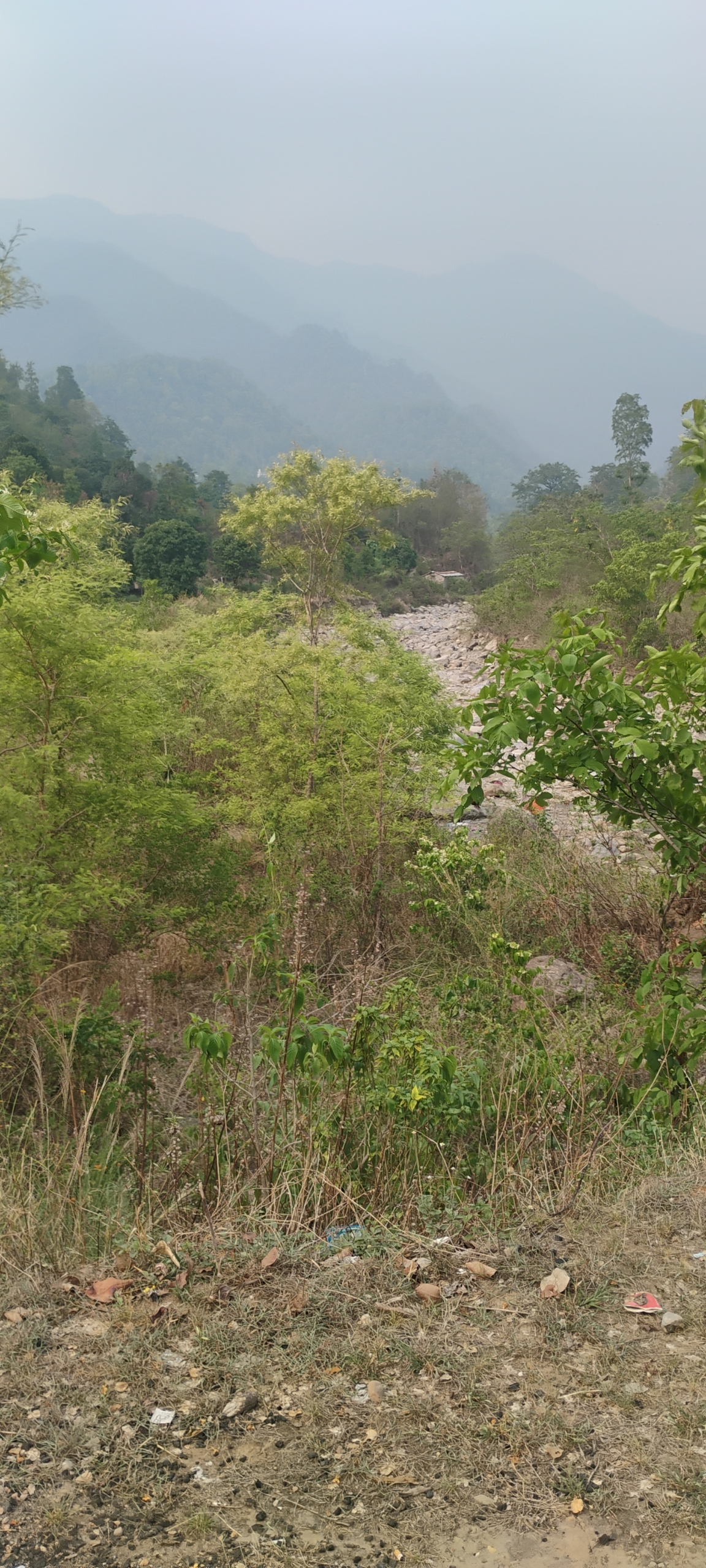 RIVER & JUNGLE TOUCH RESORT.....-9 nali