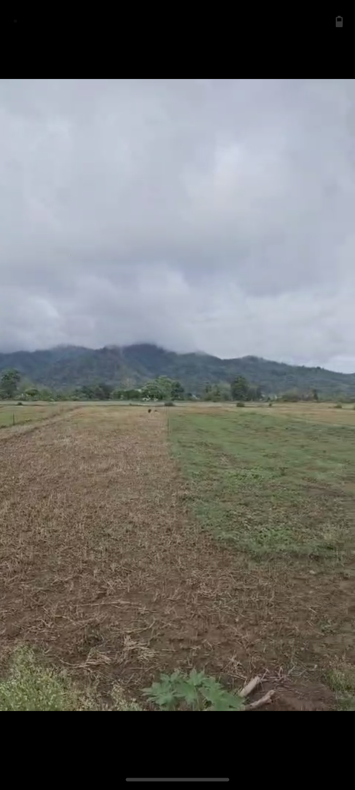 hills view land -2 bigha 4 bishwa