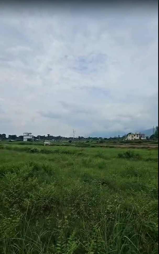 Asking - 32 lac 
Location - bajuniya haldu kotabagh