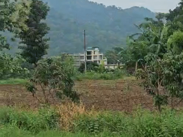 300 sq yd -kotabagh village