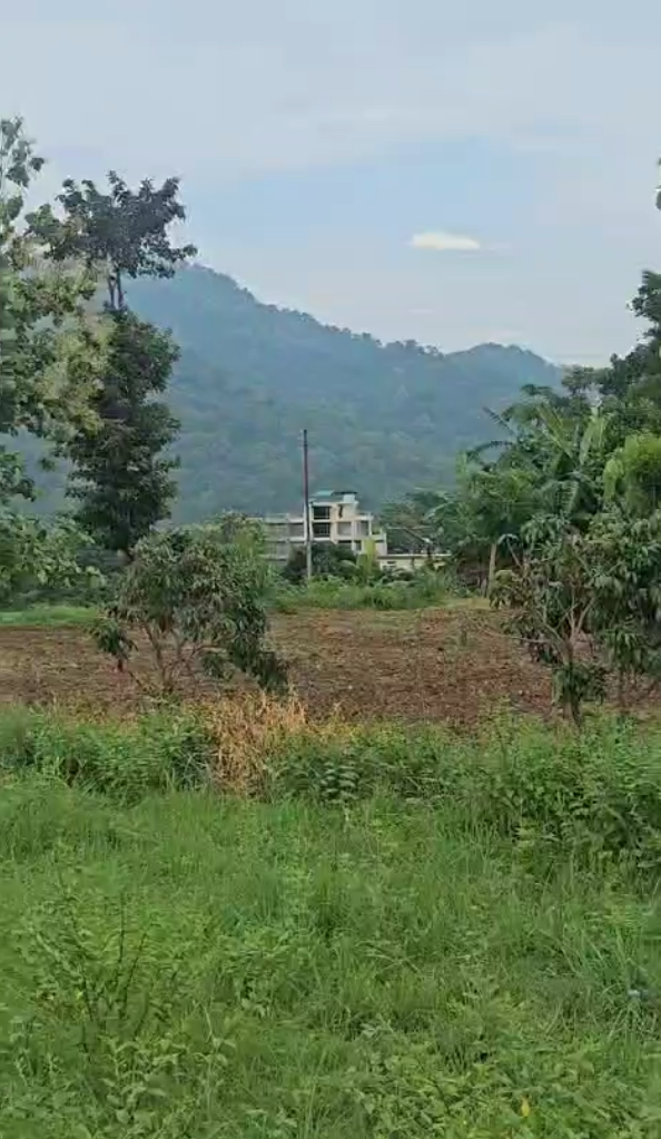 Asking - 32 lac 
Location - bajuniyahaldu kotabagh