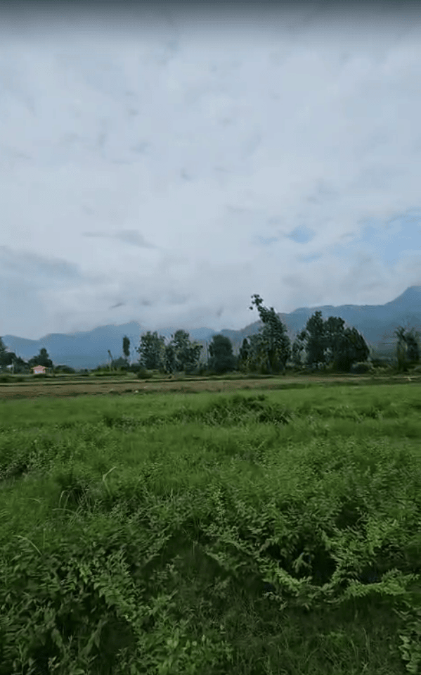 Asking - 32 lac 
Location - bajuniya haldu kotabagh