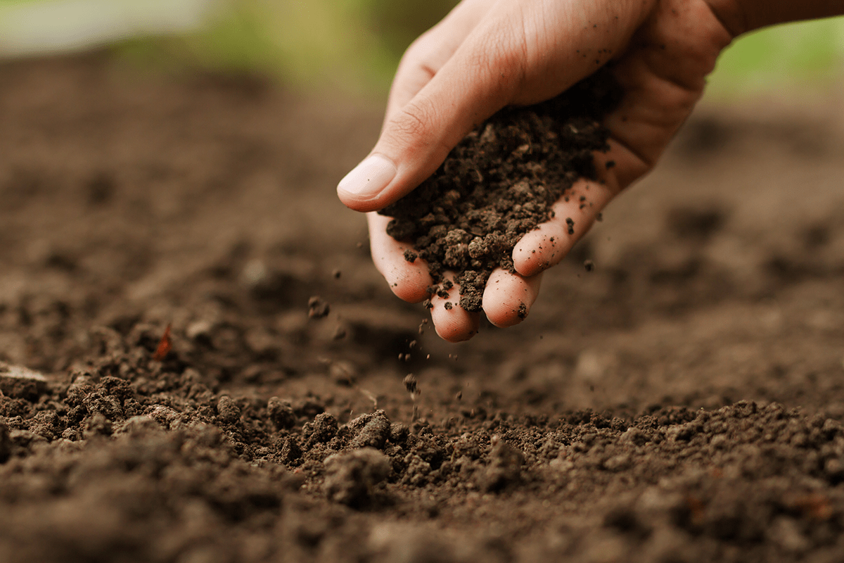 Eco-friendly land development