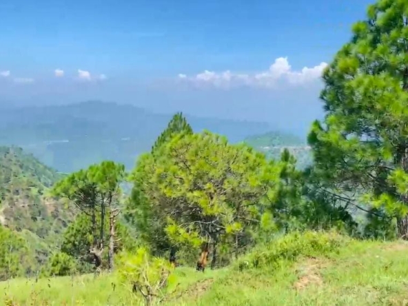 Hilltop Property with 360° Mountain View manila uttarakhand