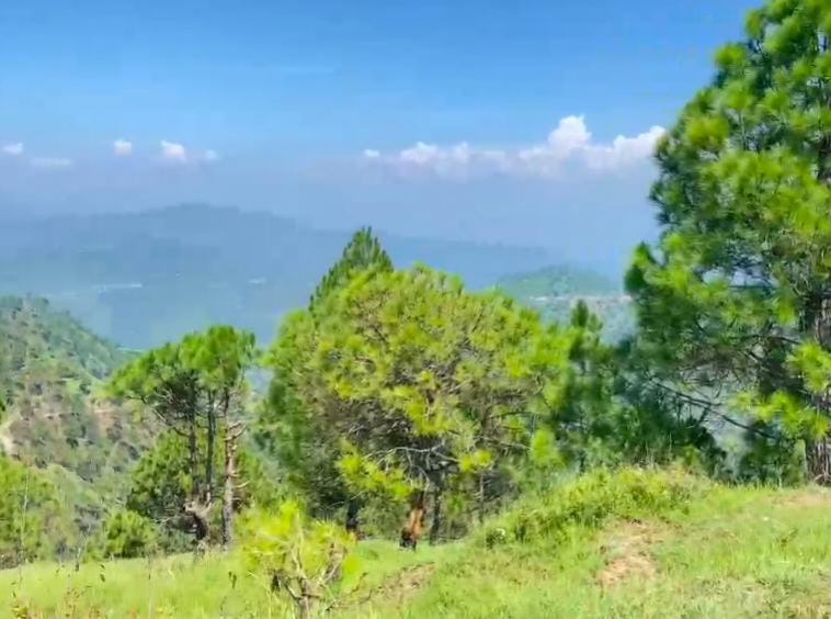 Hilltop Property with 360° Mountain View manila uttarakhand