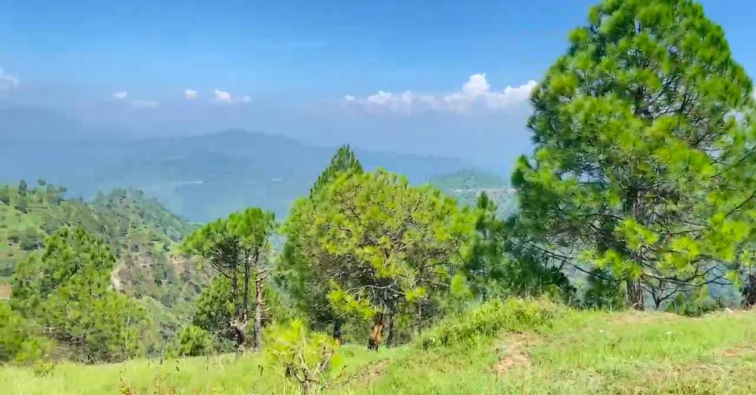 Hilltop Property with 360° Mountain View manila uttarakhand