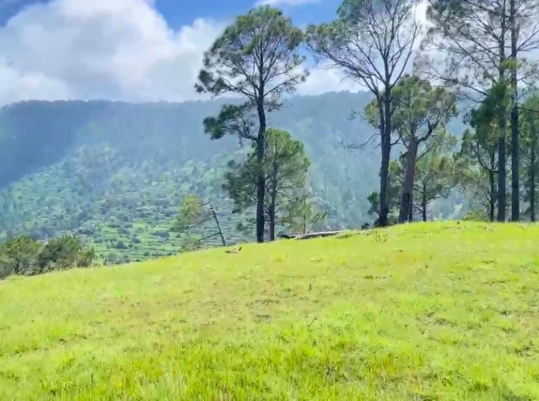 22 nali land in manila for sale