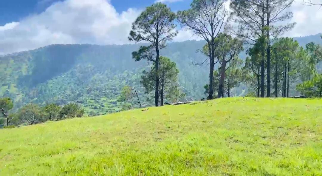 22 nali land in manila for sale