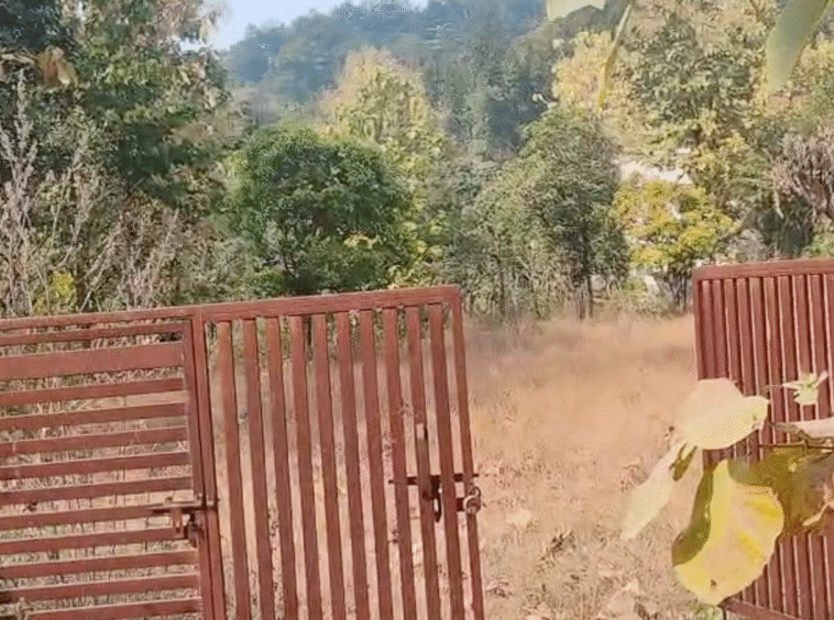 30 Nali land in Kotabagh