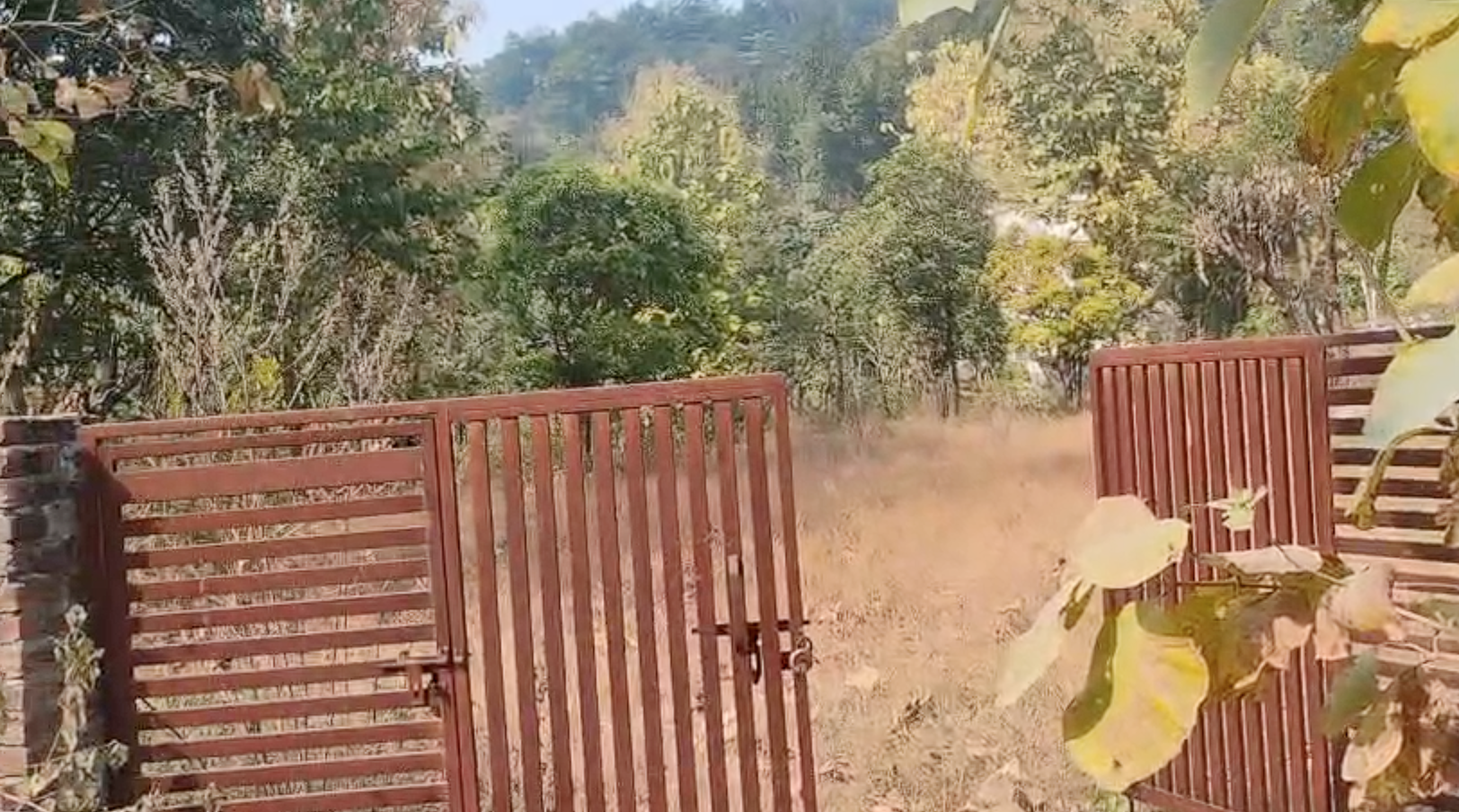 30 Nali land in Kotabagh