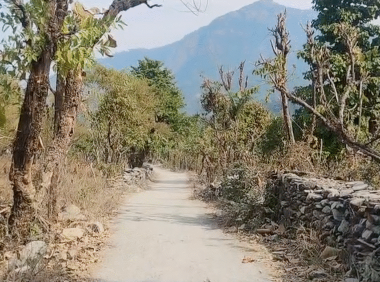 30 Nali land in Kotabagh