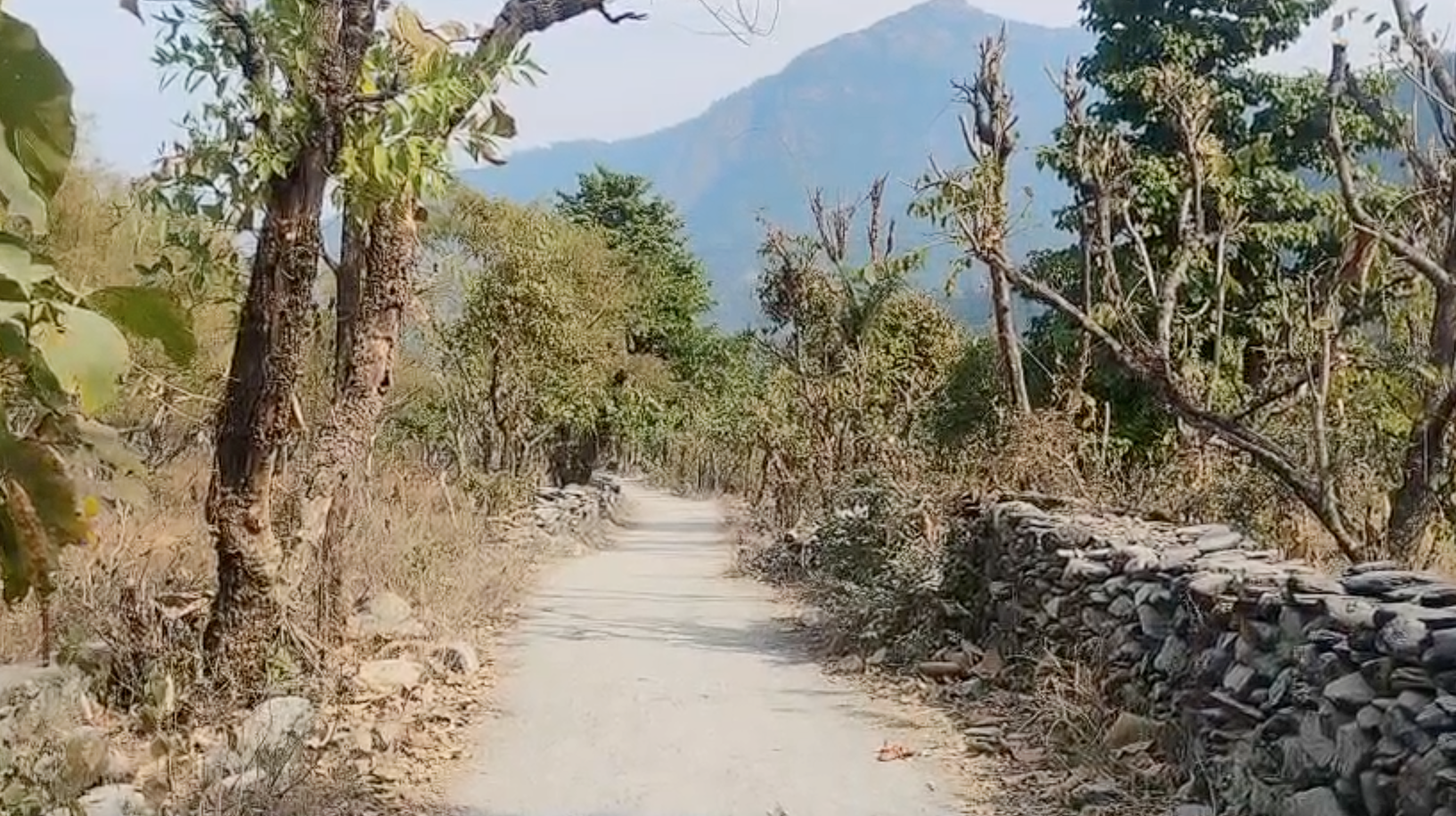 30 Nali land in Kotabagh