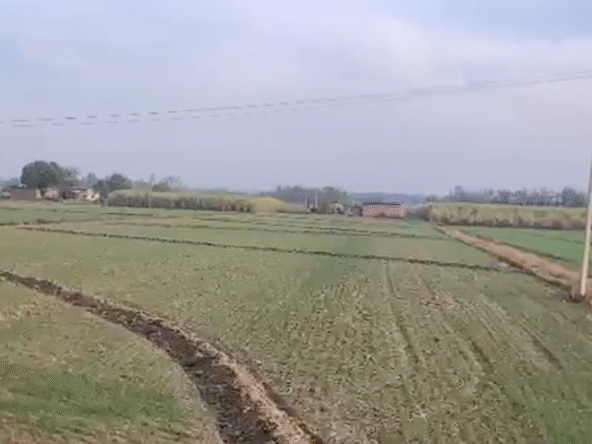 8 Acre Land for Sale in Kalaghar