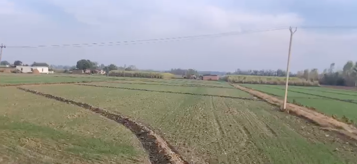 8 Acre Land for Sale in Kalaghar