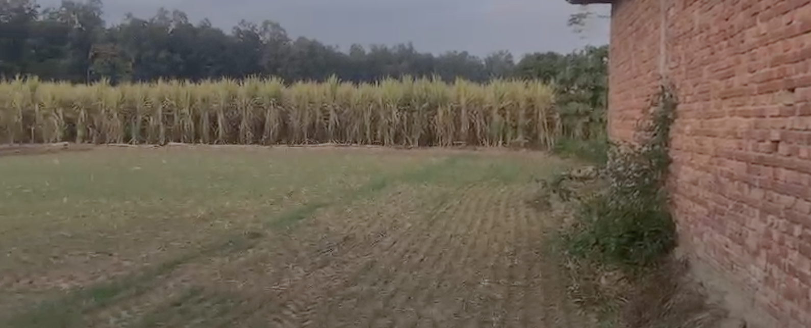 8 Acre Land for Sale in Kalaghar