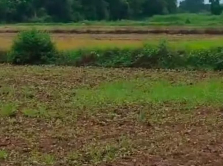 best for investment land patch- land for sale in kausa banger, Kotabagh