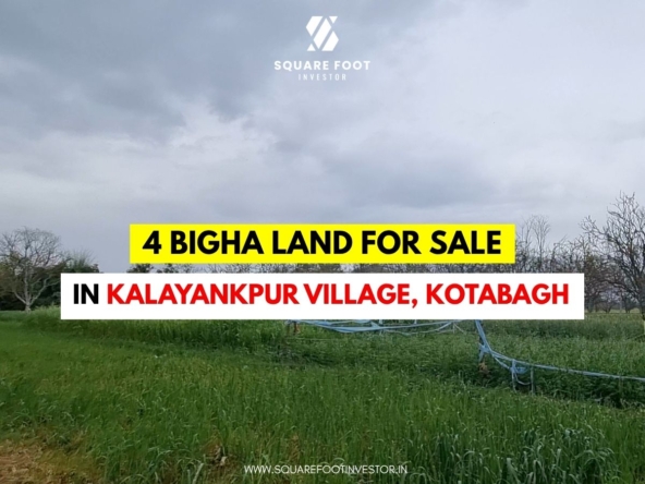 4 Bigha Land for Sale in Kalayankpur Village, Kotabagh