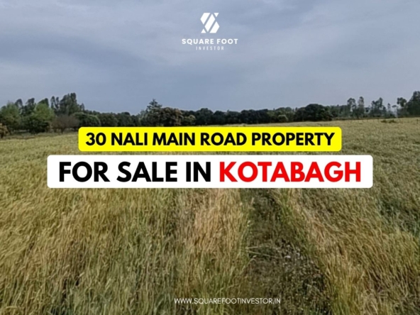 Main Road Property 30 Bigha Land Bank in Jim Corbett
