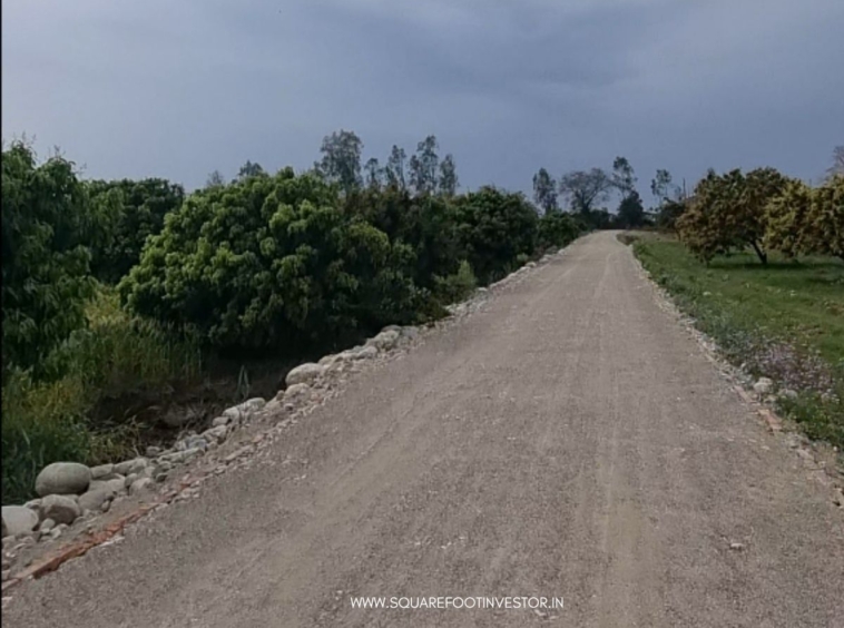 30 Bigha Land Bank in Jim Corbett