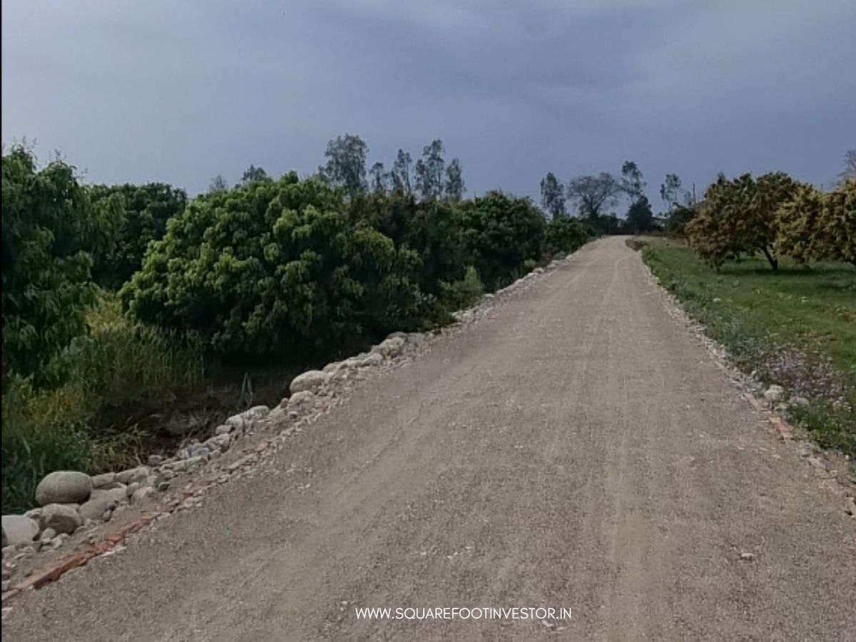 30 Bigha Land Bank in Jim Corbett