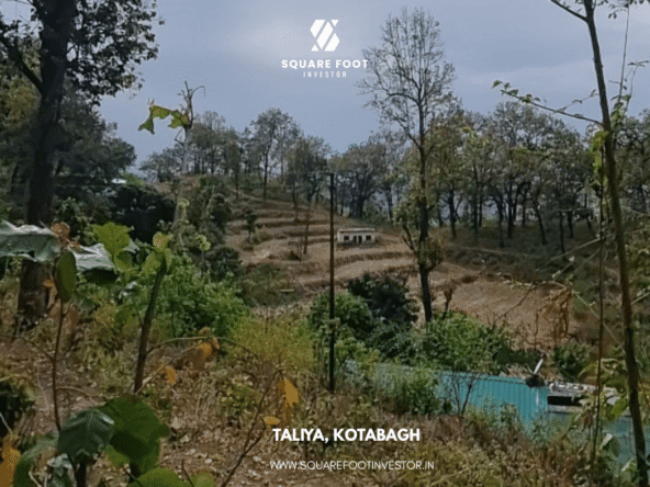 Premium 40 Nali Land Bank for Sale in Kotabagh, uttarakhand