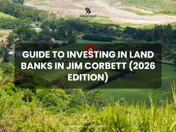 Jim Corbett is the Best Investment in 2026