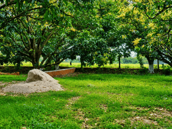 Residential Plots in Bail Parao | Bhavya Corbett Green