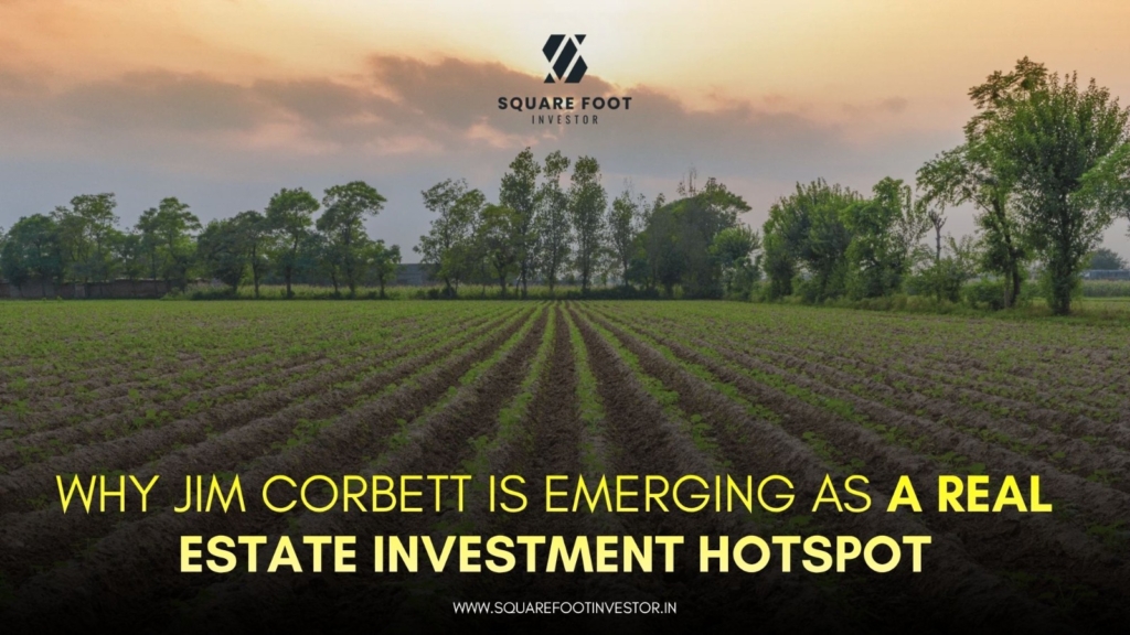 Real Estate Investment Hotspot