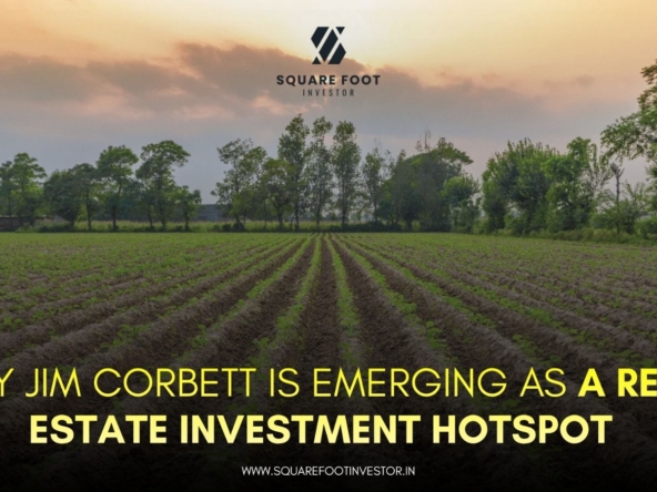 Real Estate Investment Hotspot