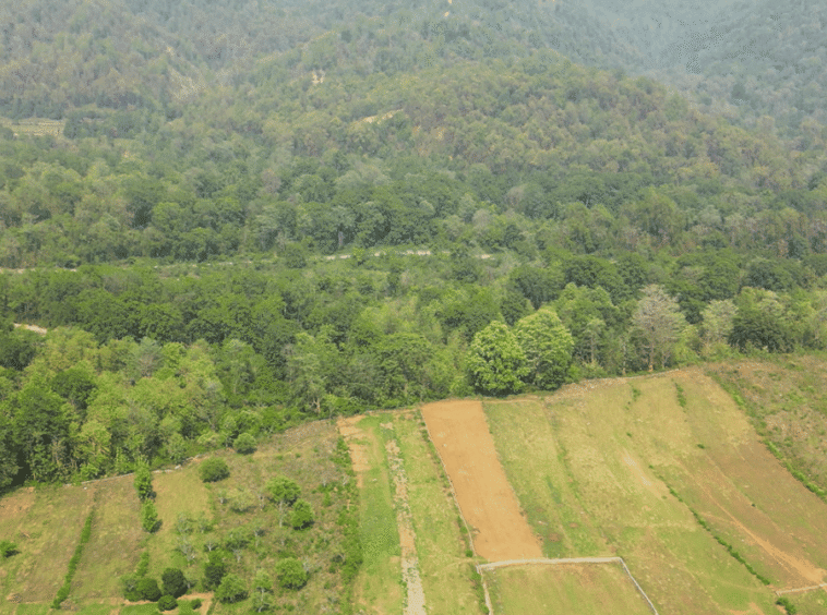 Residential Plots in Kotabagh