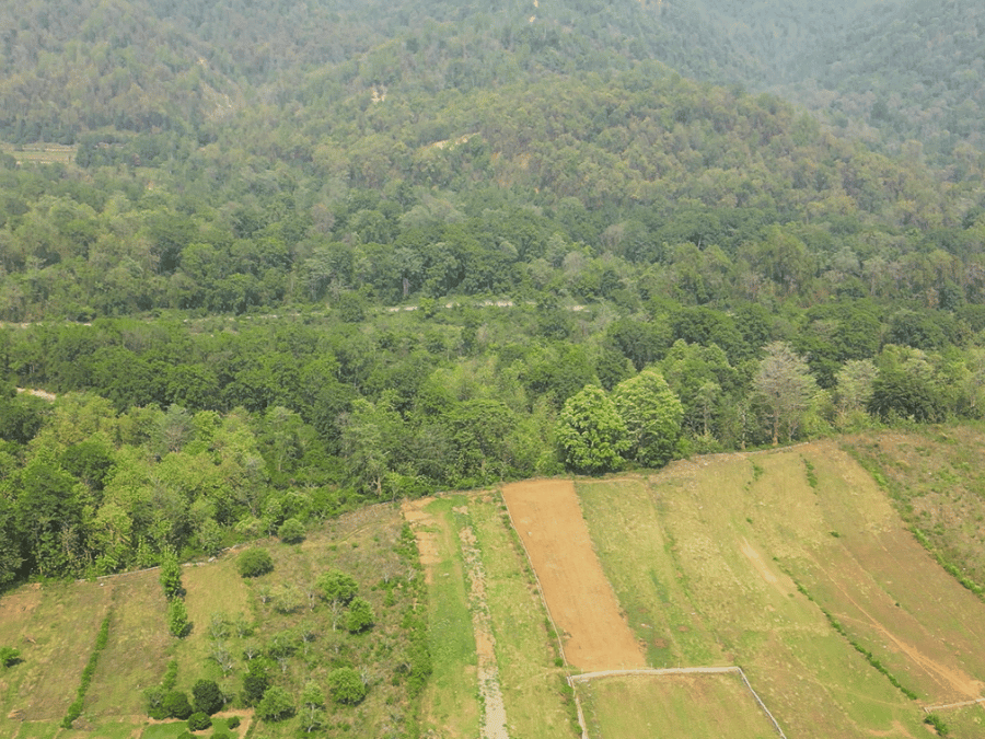Residential Plots in Kotabagh