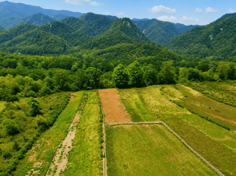 Residential Plots in Kotabagh