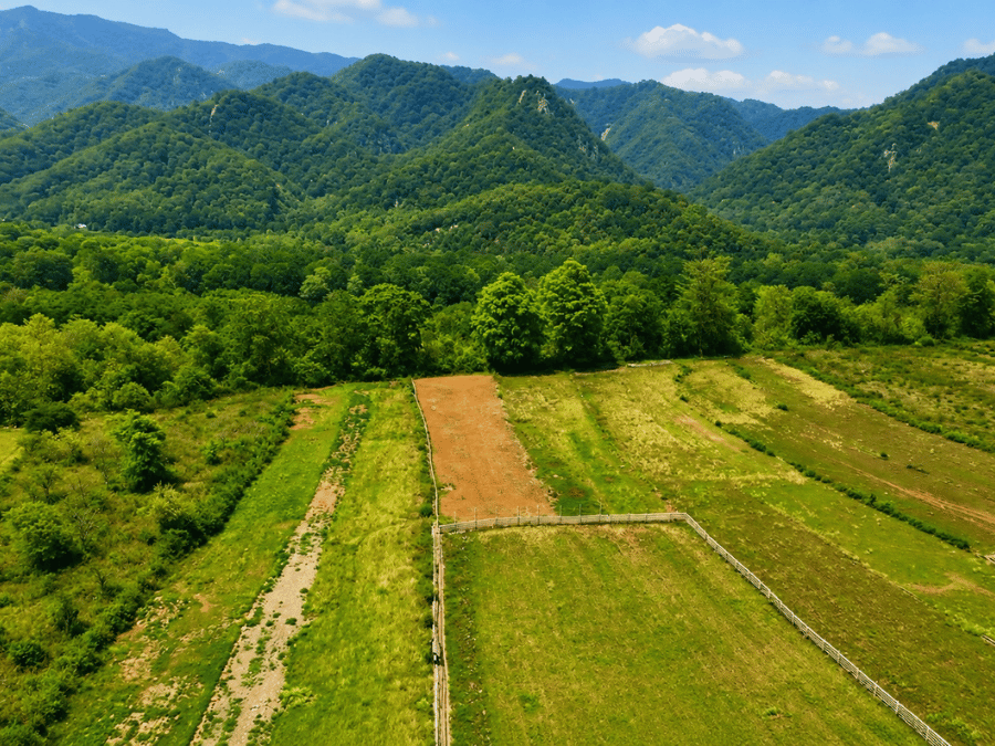 Residential Plots in Kotabagh
