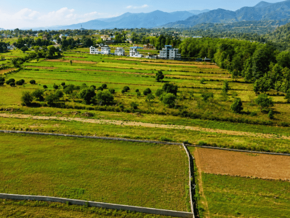 Kotabagh freehold land patches for sale
