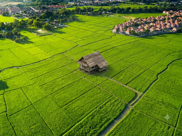 18 bigha Mainroad property