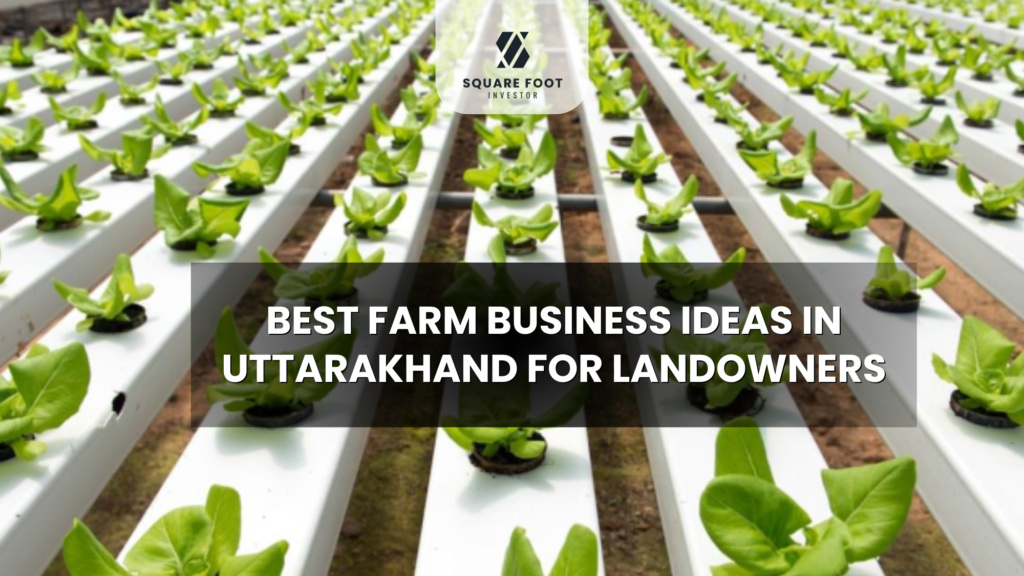 Best Farm Business Ideas in Uttarakhand
