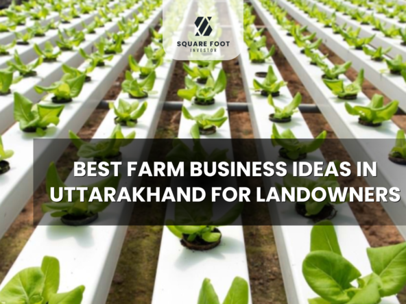 Best Farm Business Ideas in Uttarakhand