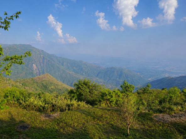 Land for Sale in Kotabagh