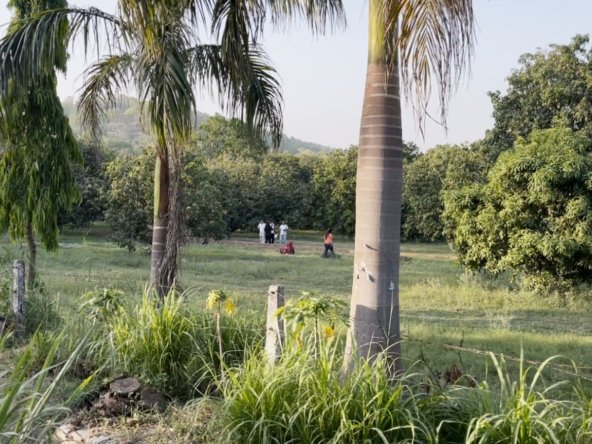 Land for Sale in Jim Corbett