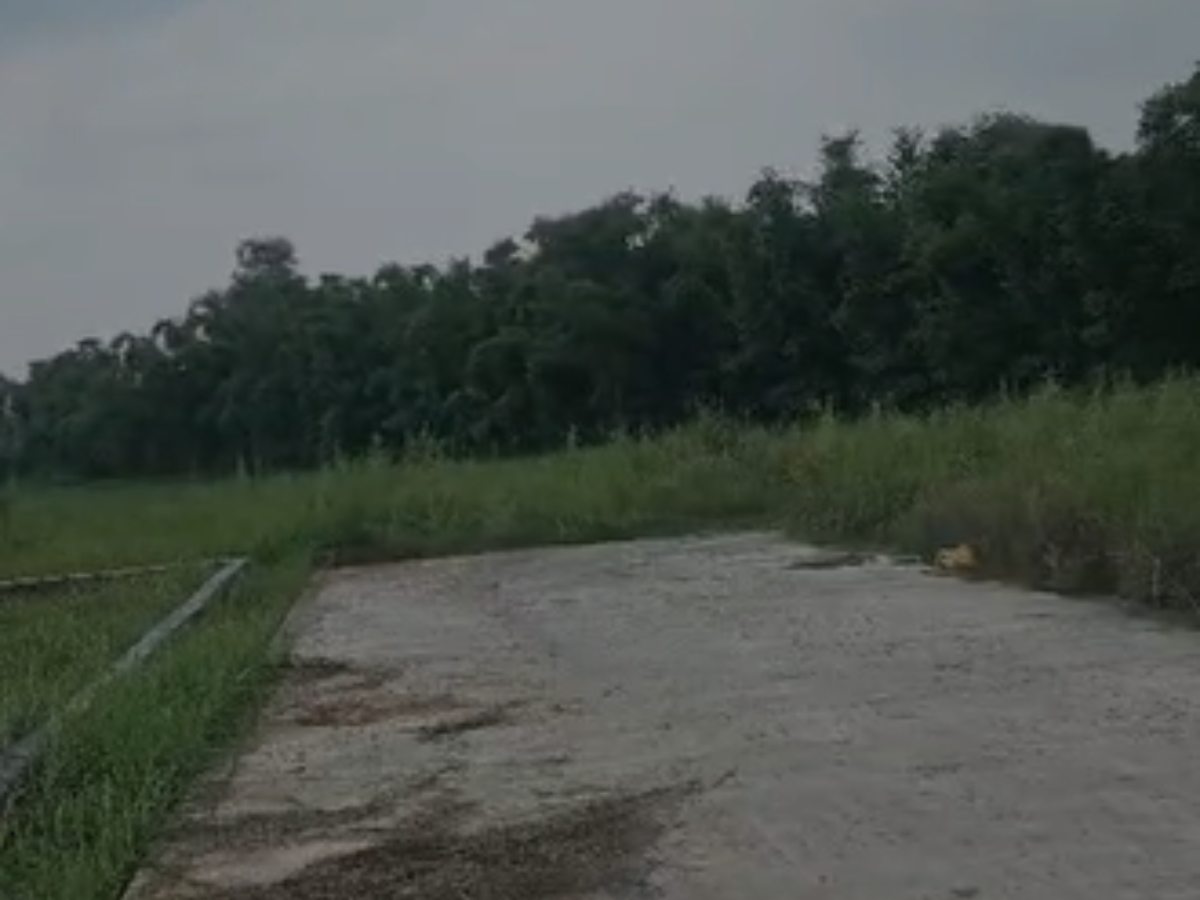 residential plots for sale in chakalua