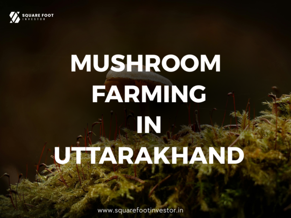 Mushroom Farming in Uttarakhand