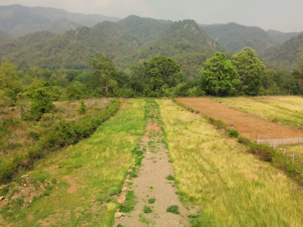 Land Patch for Sale in Kotabagh